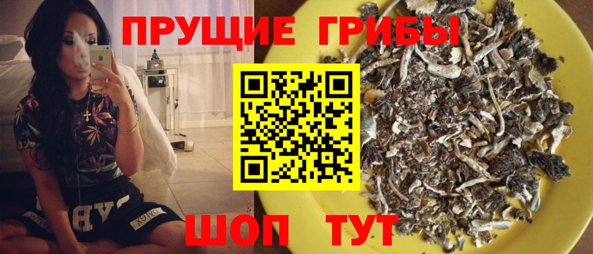 Псилоцибиновые грибы GOLDEN TEACHER Гусь-Хрустальный